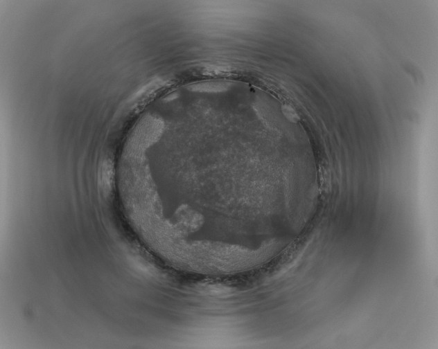 X0000113180648200909181854