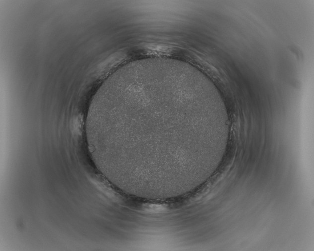 X0000113180649200909181854