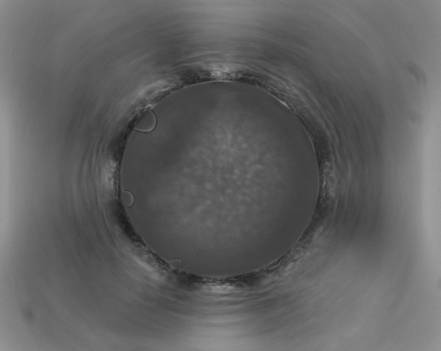 X0000113180650200909181854