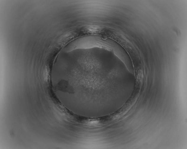 X0000113180651200909181854