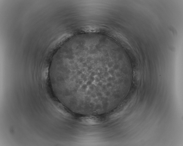 X0000113180652200909181854