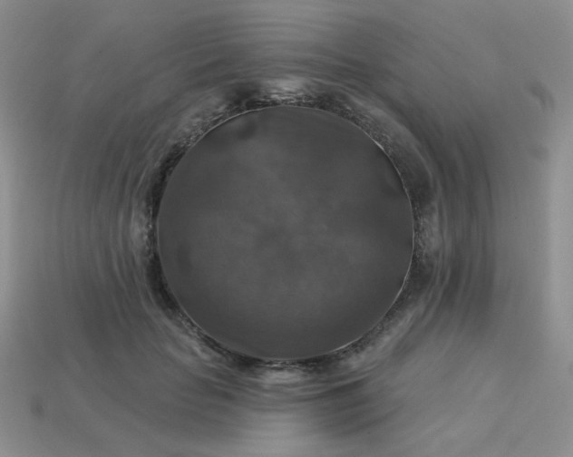 X0000113180653200909181854