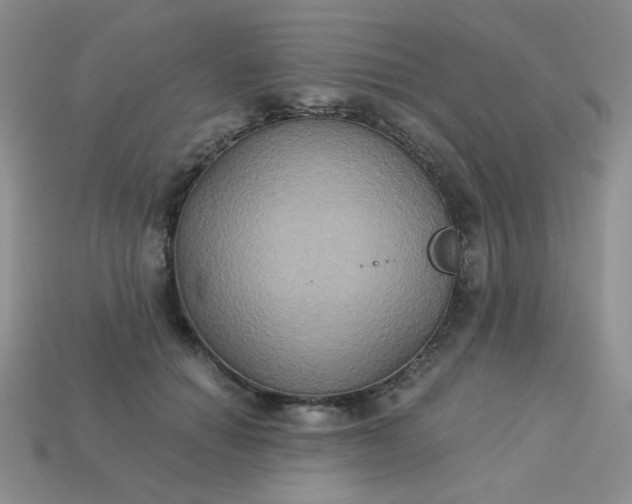 X0000113180654200909181854