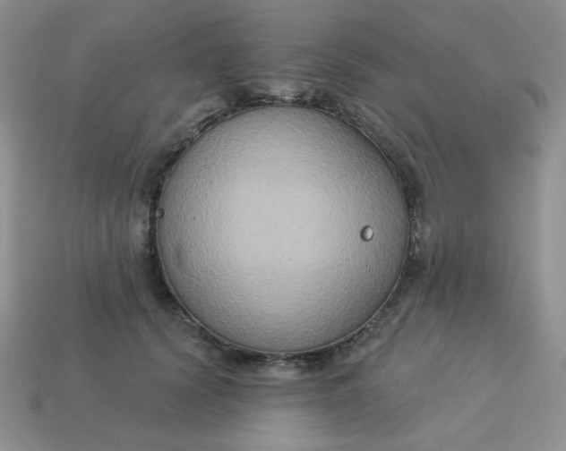 X0000113180656200909181854