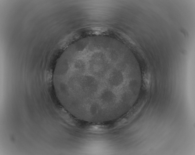 X0000113180657200909181854