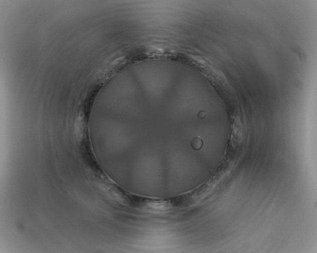 X0000113180659200909181854