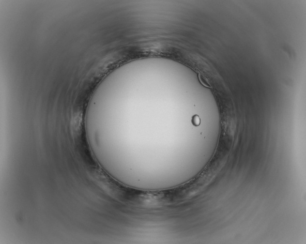 X0000113180660200909181854