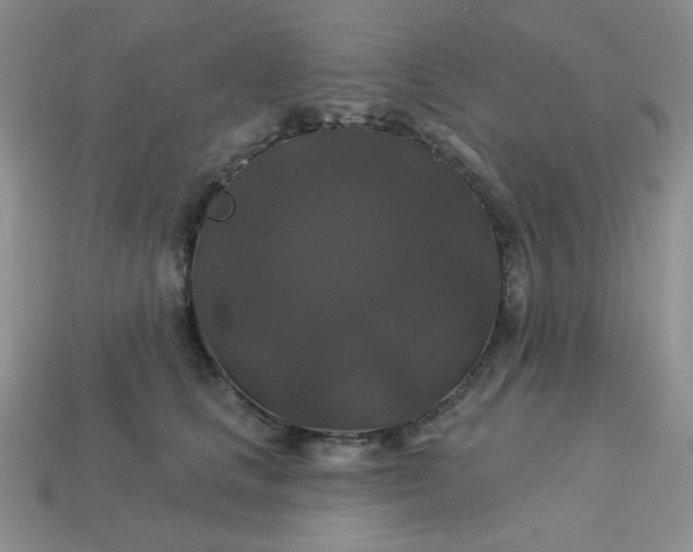 X0000113180661200909181854