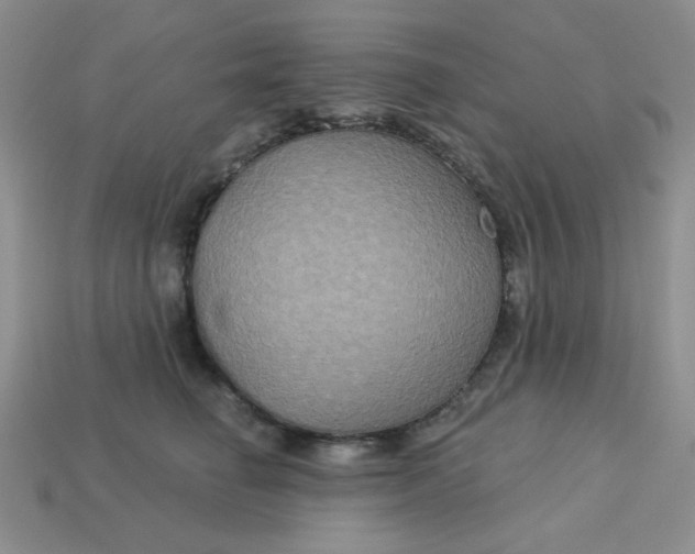 X0000113180662200909181854