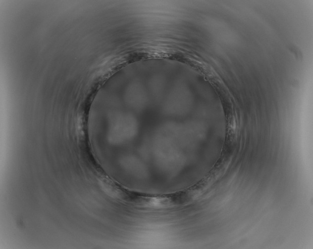 X0000113180663200909181854