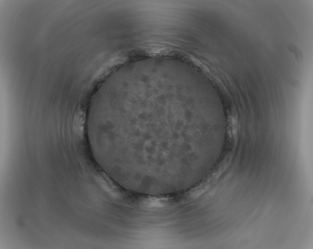 X0000113180664200909181854