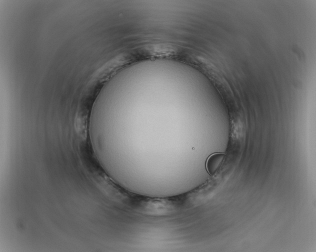 X0000113180666200909181854