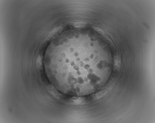 X0000113180667200909181854