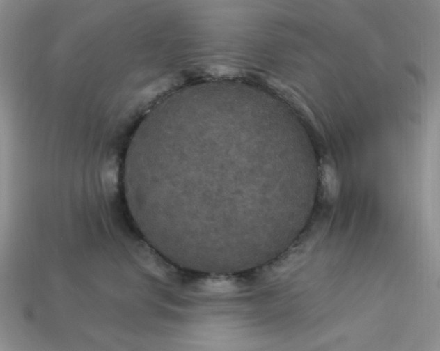 X0000113180668200909181854