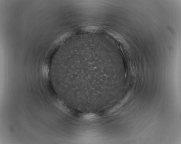 X0000113180669200909181854