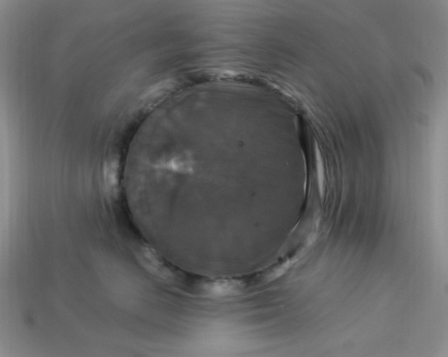 X0000113180670200909181854