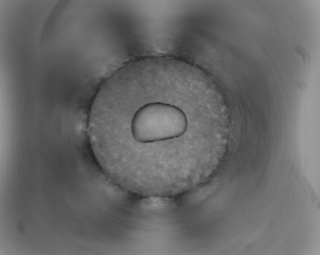 X0000113180672200909181854