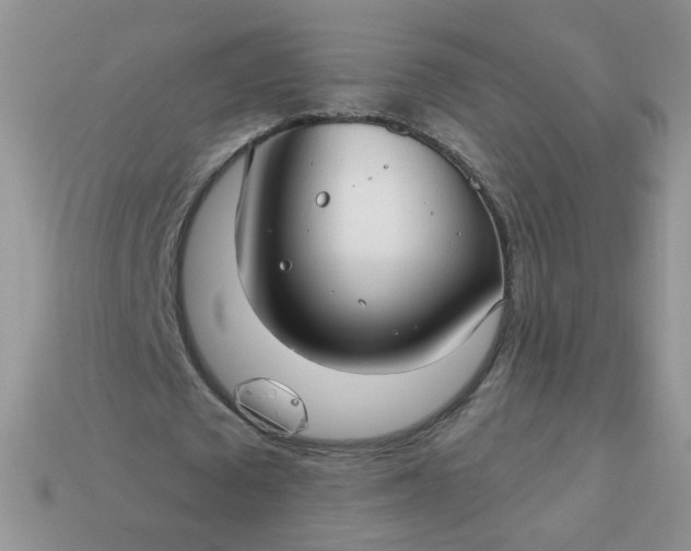 X0000113180673200909181854