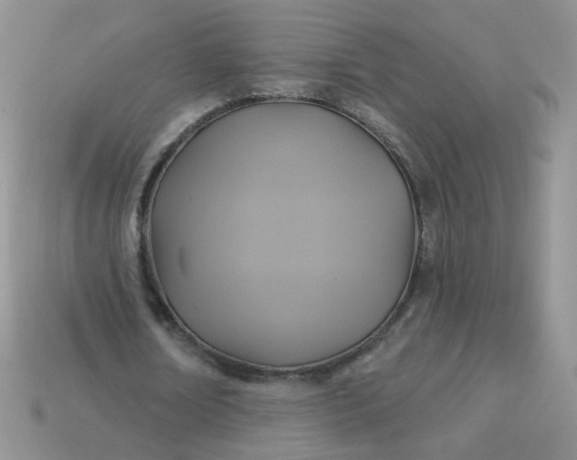 X0000113180674200909181854