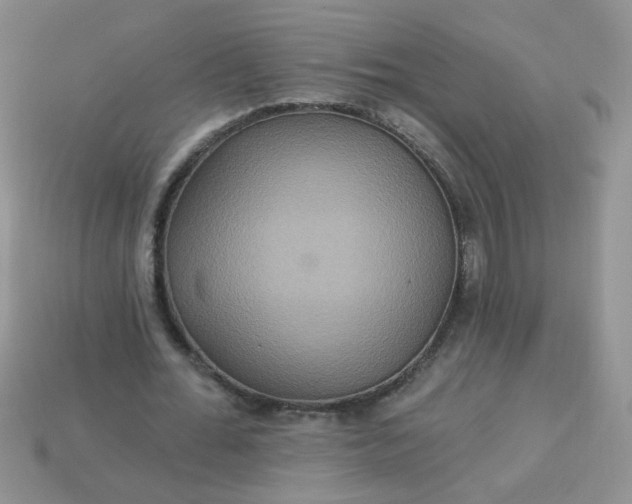 X0000113180676200909181854