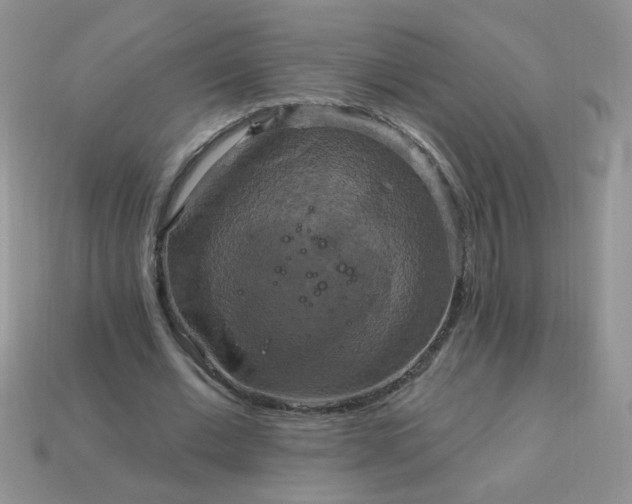 X0000113180677200909181854