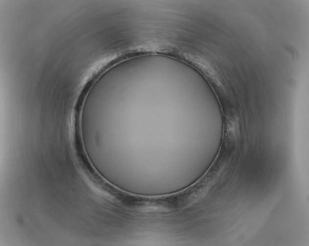 X0000113180678200909181854