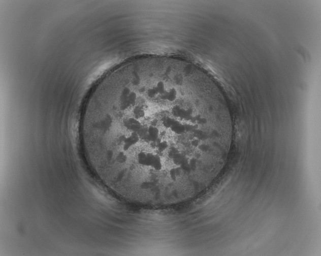 X0000113180679200909181854