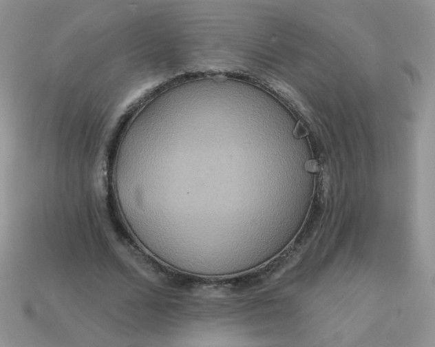 X0000113180680200909181854