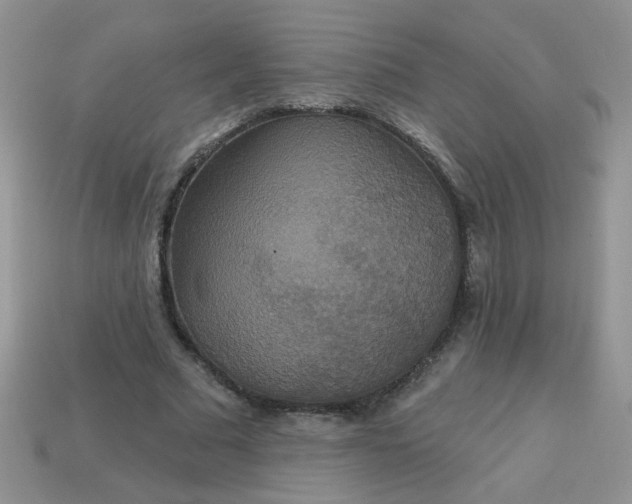 X0000113180681200909181854