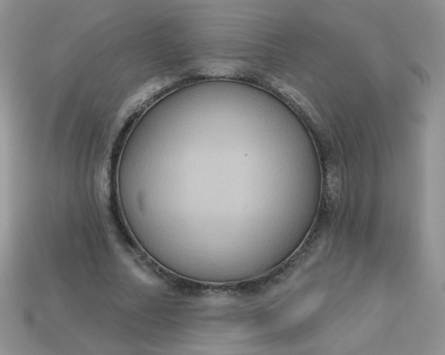 X0000113180682200909181854