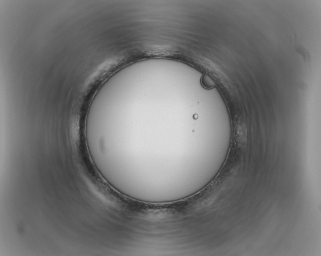 X0000113180686200909181854