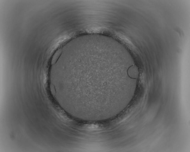 X0000113180687200909181854