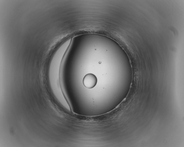 X0000113180688200909181854