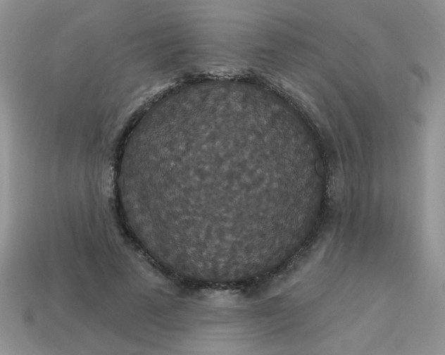 X0000113180689200909181854