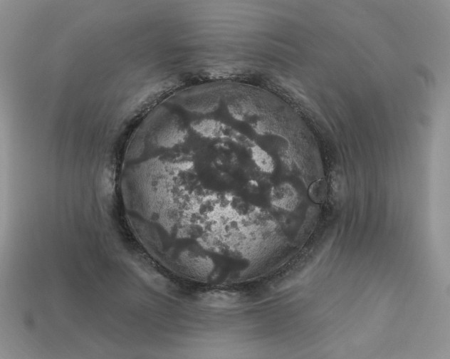 X0000113180691200909181854