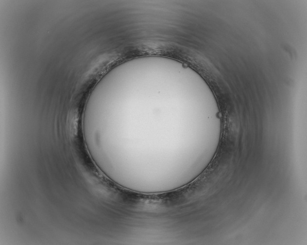 X0000113180694200909181854