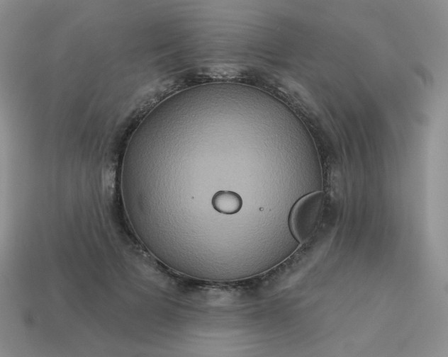 X0000113180697200909181854