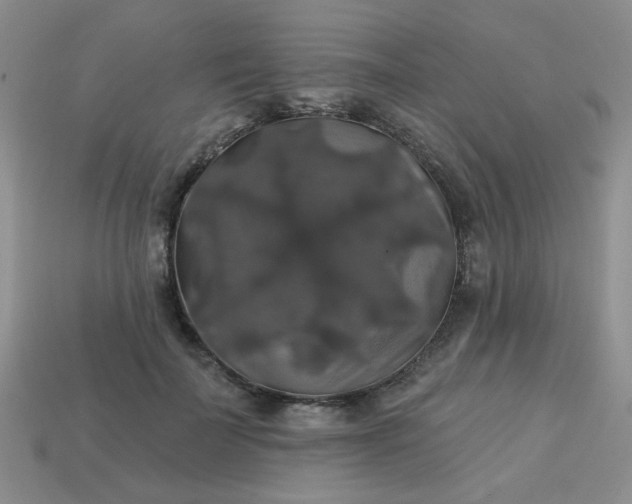 X0000113180699200909181853