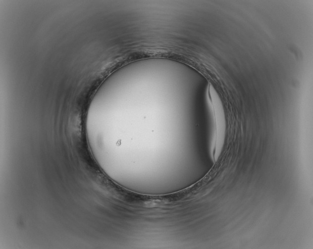 X0000113180700200909181853