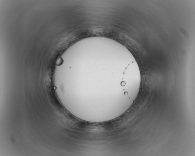 X0000113180702200909181853