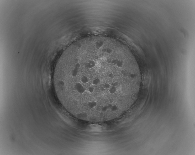 X0000113180703200909181853