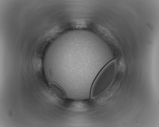 X0000113180704200909181853