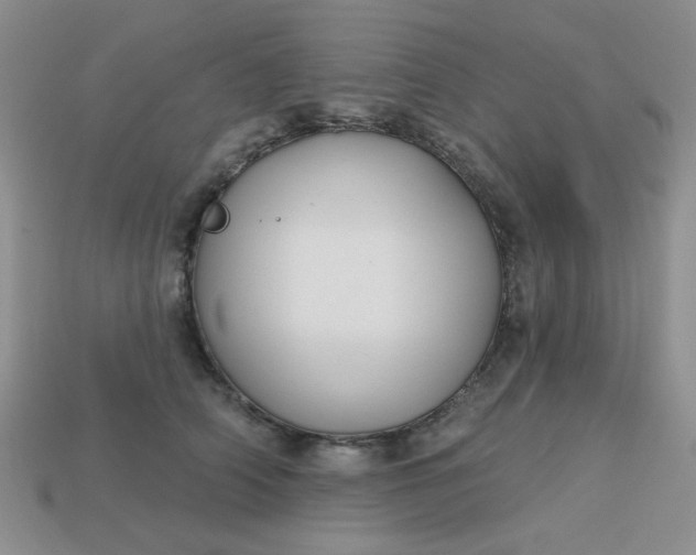 X0000113180706200909181853