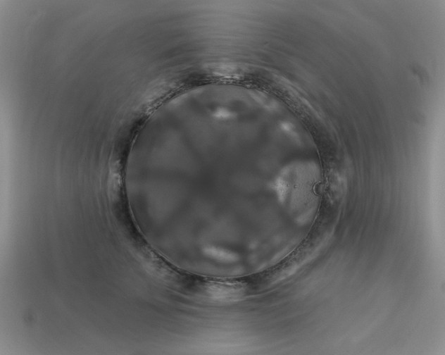 X0000113180707200909181853