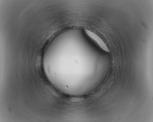 X0000113180708200909181853