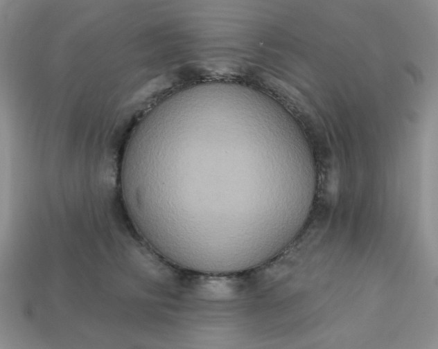 X0000113180710200909181853