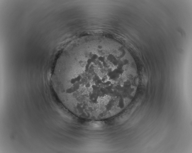 X0000113180711200909181853