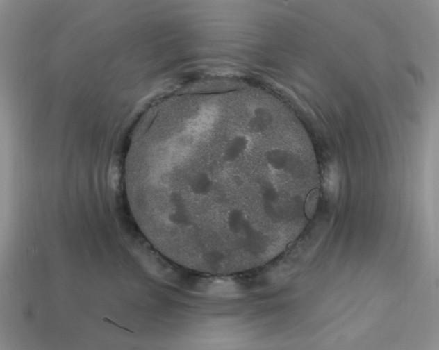 X0000113180715200909181853