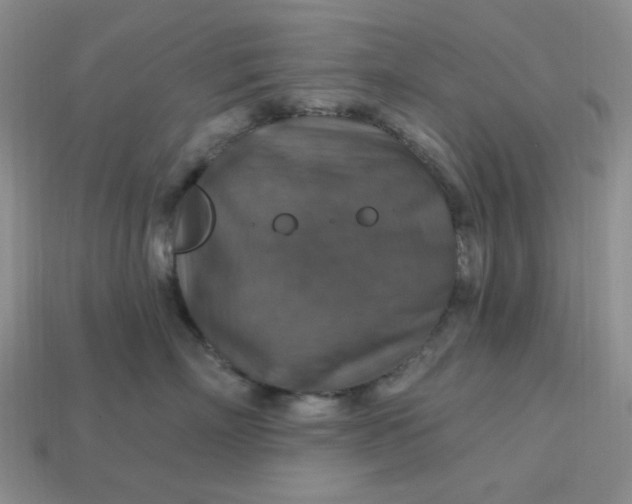 X0000113180718200909181853