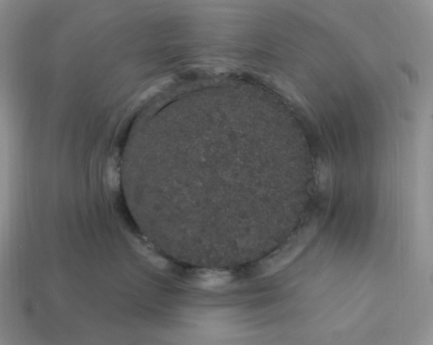 X0000113180719200909181853